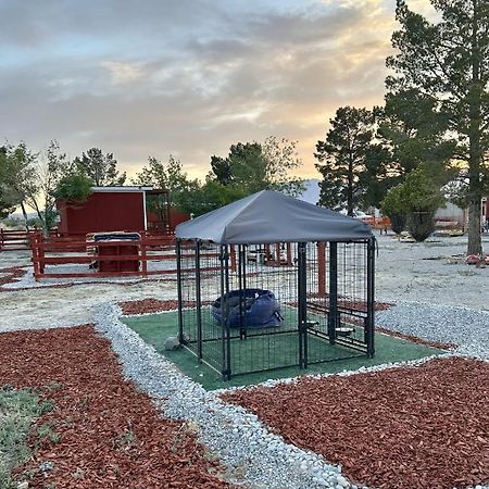 Area 3251 Desert Valley Guest Suite Pahrump Exteriör bild